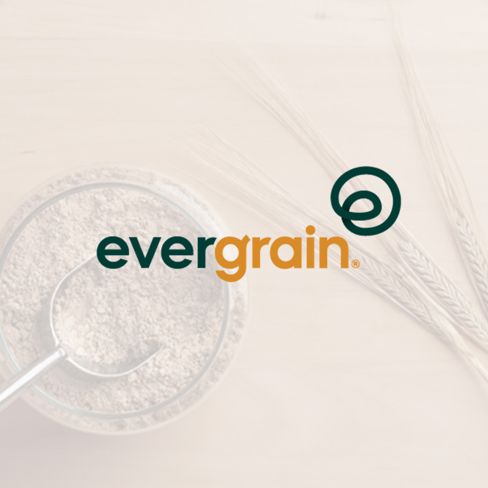 EverGrain Gives Spent Grain a Second Life as PlantBased Barley Protein