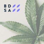 BDSA: U.S. Cannabis Sales to Surpass $24 Billion This Year