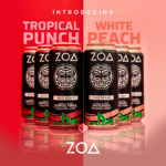After Pace-Setting First Year, ZOA Aims Higher