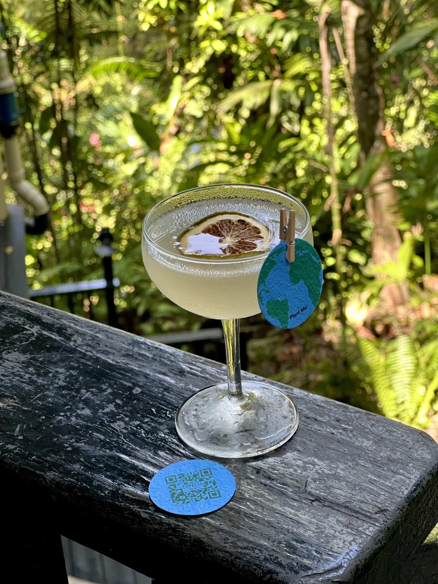 Copalli Rum Launches Cocktails For A Cause Campaign - Vimarsana News