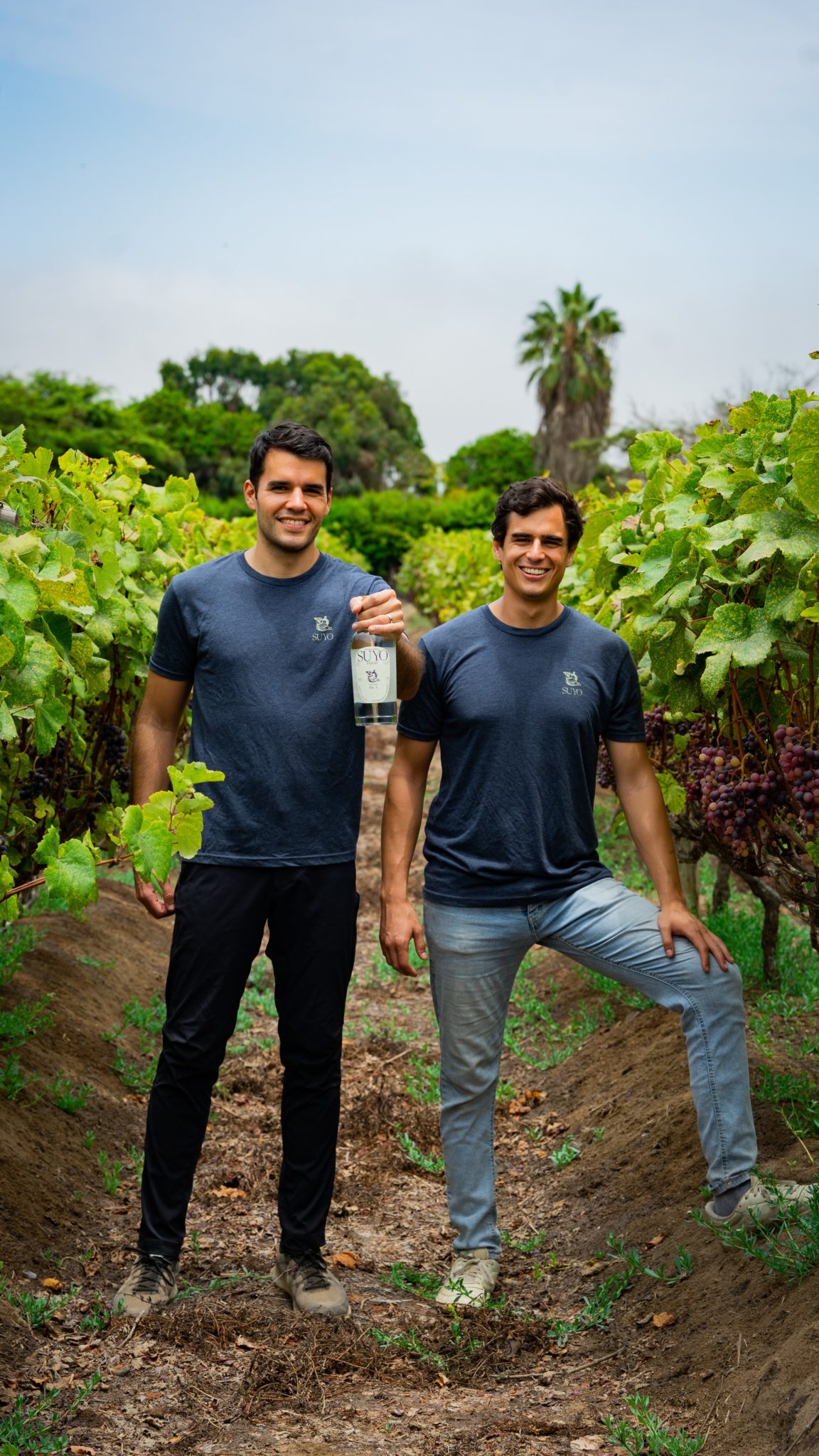 SUYO, Single-Origin Craft Pisco, Makes its American Debut With Skurnik Distribution - Vimarsana News