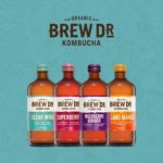 Under CEO Stangler, Brew Dr’s Focus on Fundamentals Sets Stage for Growth