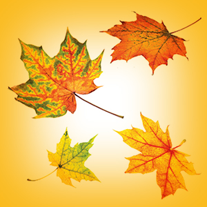 Publisher’s Toast: Fall is a Time to Spring Ahead