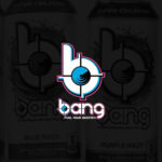 Bang Announces Kathy Cole As New COO