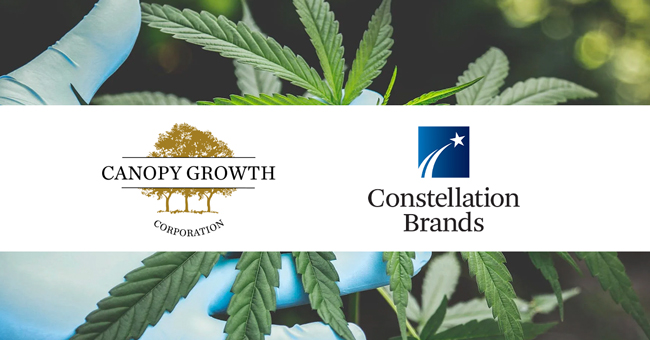 Constellation Brands is backing away from cannabis with Canopy USA