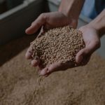 Upcycled Ingredient Makers Eye Brewer’s Spent Grains