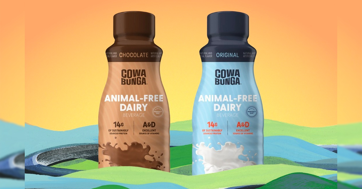 The new Cowabunga product from Nestlé and Perfect Day. 