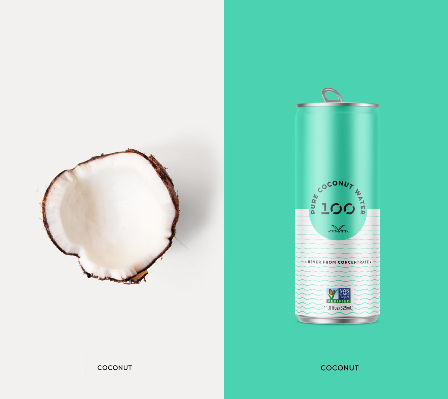 100 Coconuts Premium Coconut Water Expands Distribution in Major
