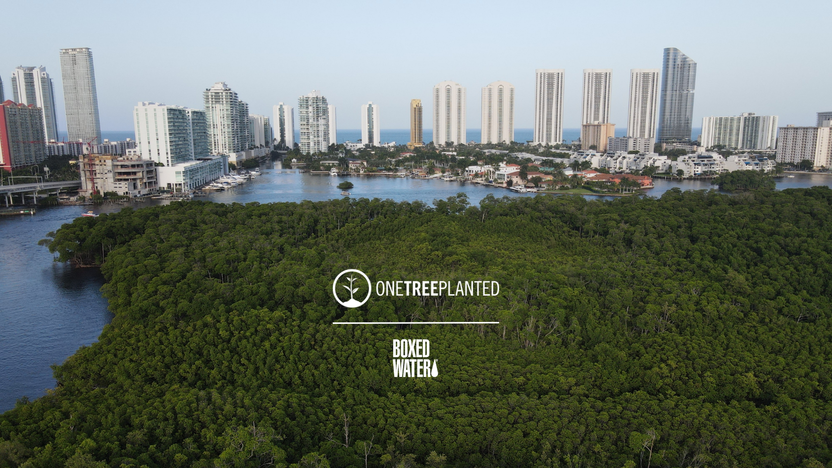 Boxed Water Expands Tree Planting Program With One Tree Planted and the Urban Forestry Action Fund - Vimarsana News