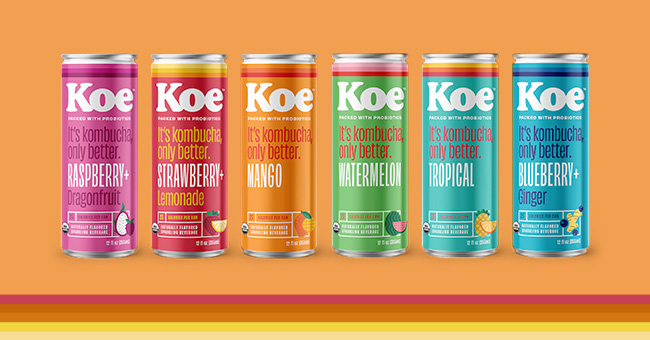Koe Kombucha Announces Multiple New Distribution Gains