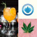 In the Clouds: How The Hemp Beverage Alliance Aims To Standardize A Hazy Market