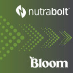 Nutrabolt Invests In TikTok-Powered Wellness Brand Bloom Nutrition