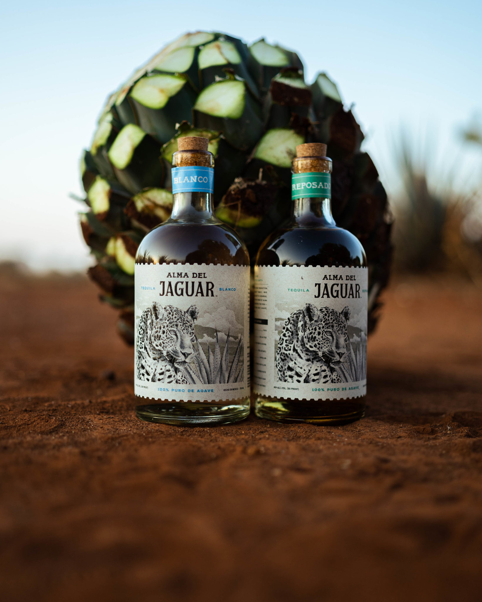 Alma del Jaguar Tequila Marks Growth Since Spring 2023 Launch