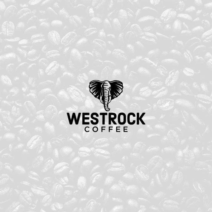 Westrock Reports Positive Q1 With Production Lines Fully Operational Thumbnail
