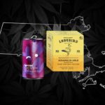 Massachusetts Offers Glimpse Of The Uphill Battle For Hemp Beverages