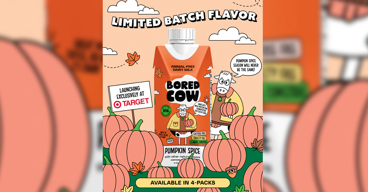 Bored Cow Pumpkin Spice