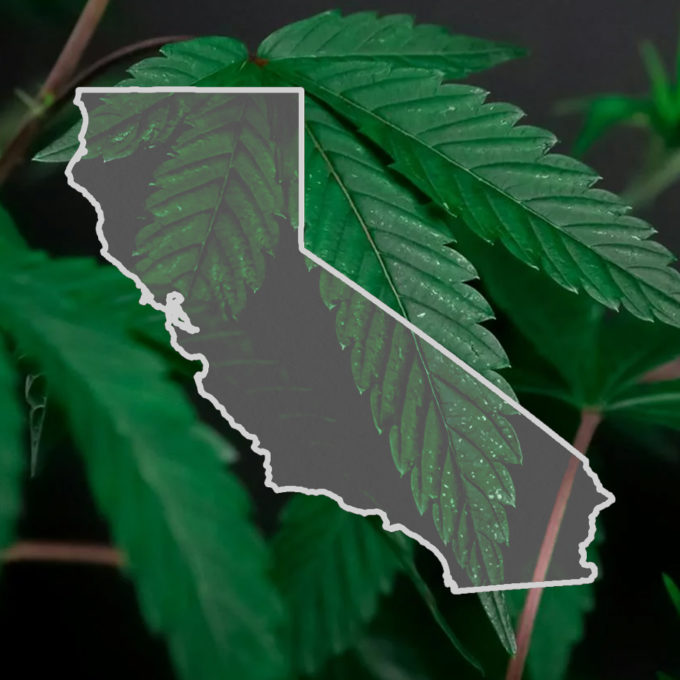 Hemp Industry Responds To California ‘Readopting’ Emergency Ban