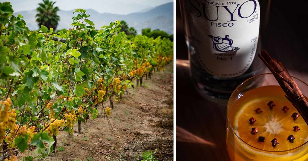 Pisco Brands Say It’s Time To Change The Spirit’s Narrative. Here’s How.