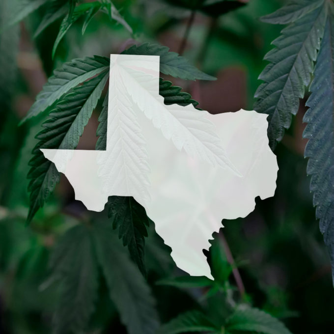 Texas Gov. Vetoes Hemp Ban, Backs ‘Legally Sustainable’ Regulations
