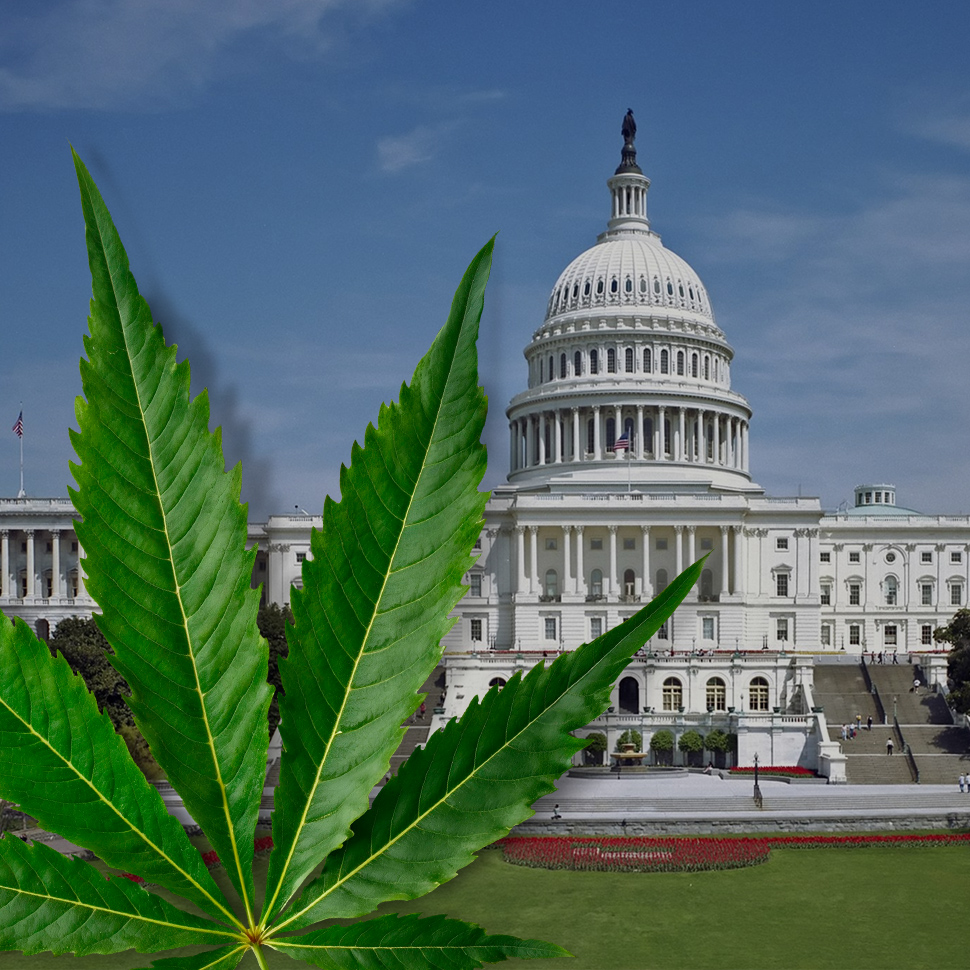 Could This Bill Legalize Intoxicating Hemp? Here’s A First Look.