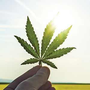 Keeping the Hemp Loophole Open Shouldn’t Hang the Hash Sellers