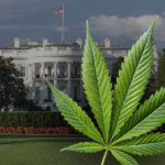 White House Issues Executive Order to Reschedule Cannabis