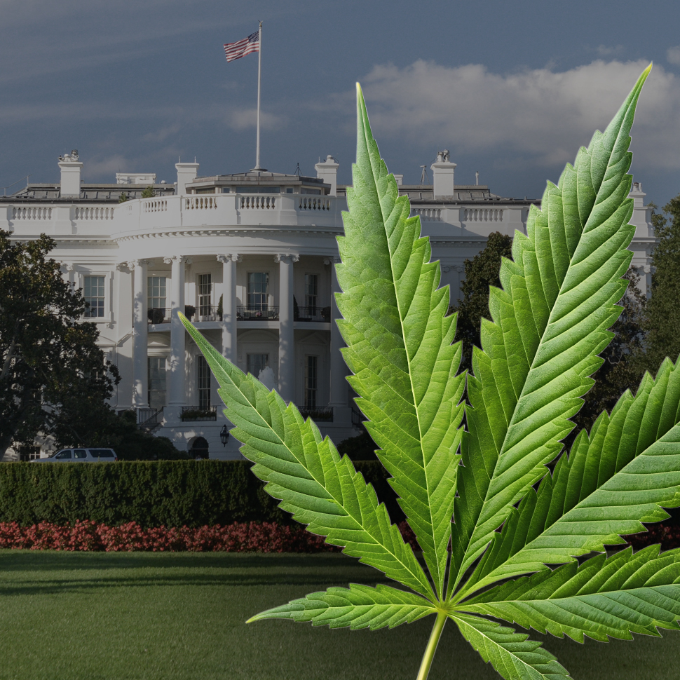 White House Issues Executive Order to Reschedule Cannabis