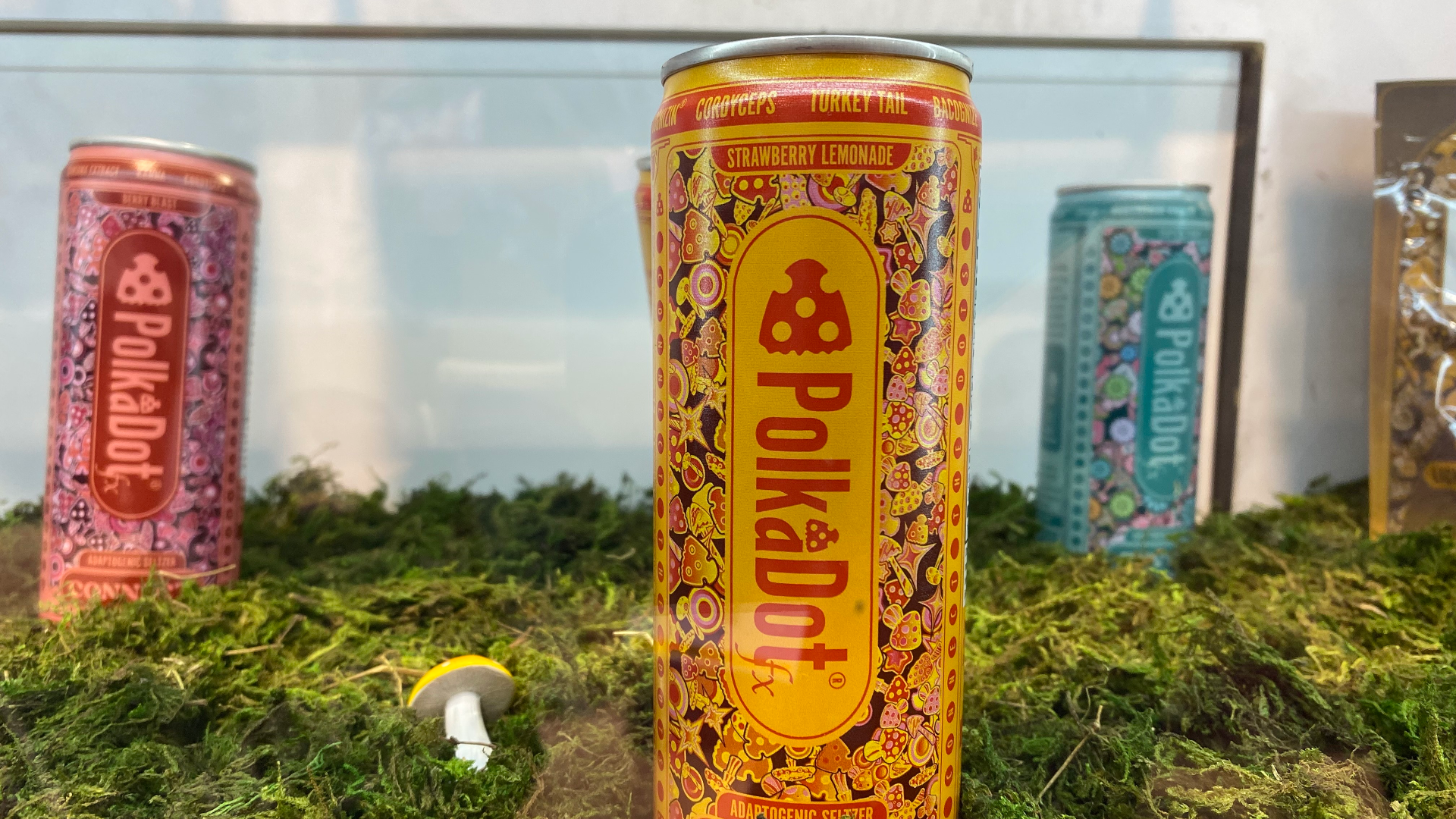 PolkaDot Refreshes Adaptogenic Mushroom Drink Line - BevNET.com