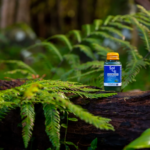 Sol-ti Bets on Foodservice Expansion With Key Hires, Multifunctional Shots