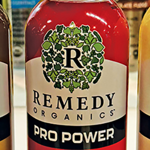 Elmhurst Elmhurst Protein Beverages — product image