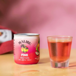 Pernod Ricard Expects RTDs To Gain Share, But No US Spirits “Bounceback”