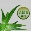 Aloe Vera Drinks Earn ‘Avoid’ Rating from CSPI