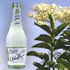 Review: Belvoir Fruit Farms Organic Elderflower Presse