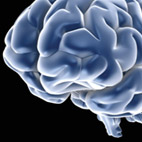 Can Boosting Brains Boost Your Sales?