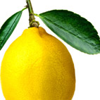 Pucker Up: Lemonade Becoming a Drink for All Seasons