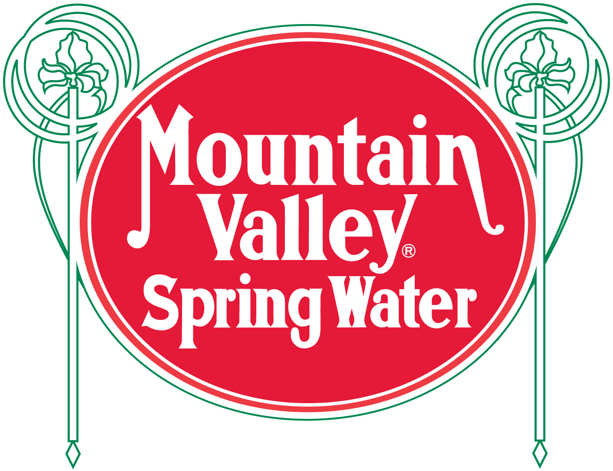 mountain valley spring pvt ltd