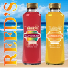 Review: Reed’s Culture Club Kombucha (New Flavors)