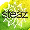 Steaz Revamps Packaging, Goes Green Tea-Based in All Products