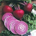 Beet This! Report Says Beets, Tart Cherries Powering Olympians