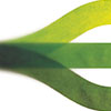 The Blurring Lines: Strategics, Private Equity, and Timing
