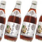 Review: GuS Dry Root Beer