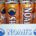 Review: Noah’s Water