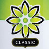 Spotlight Category: Refrigerated Teas