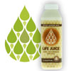 Review: Life Juice Spiced Almond Milk