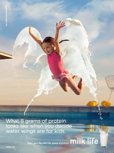 MILK PROCESSOR EDUCATION PROGRAM WINGS