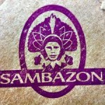 Fleishman, Chief Marketing Officer, Leaves Sambazon