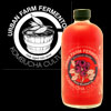Review: Urban Farm Fermentory Kombucha